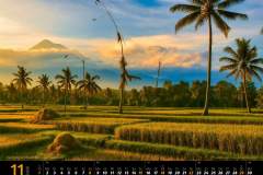 Reisfelder am Vulkan Ijen | Java | Indonesien