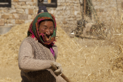 Tibetische Bäuerin